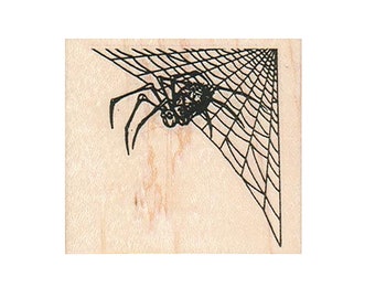 Spider And Web In Corner RUBBER STAMP, Insect Stamp, Bug Stamp, Entomology Stamp, Spider Stamp, Halloween Stamp, Web Stamp, Creepy Crawly