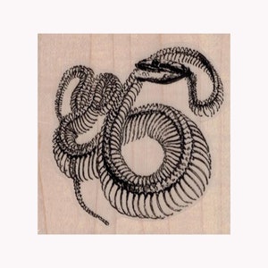 Carimbo de borracha de esqueleto de cobra, carimbo de cobra, carimbo de esqueleto de cobra, carimbo de caveira, carimbo de ossos de cobra, carimbo de réptil, carimbo de Halloween, osso de réptil