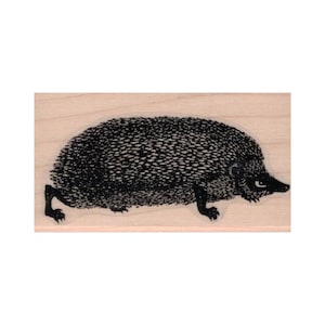 Carimbo de ouriço, Carimbo de ouriço, Carimbo de erinaceína, Carimbo de animal, Carimbo de mamífero, Carimbo de vida selvagem, Carimbo de pequeno animal, Carimbo de natureza