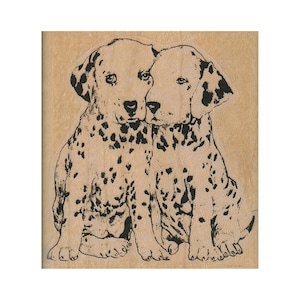 RUBBER STEMPEL Dalmatische puppy's, stempel dalmatiër, stempel puppy, stempel gevlekte pup vrienden, stempel dalmatiër, stempel 101 dalmatiërs, honden