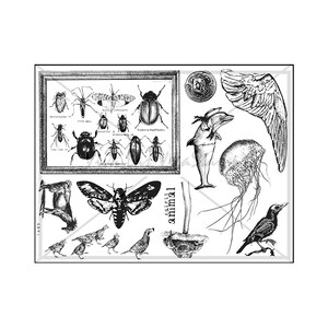 Kreaturen Große und Kleine Sammlung Ungefasste Stempelplatte, Krötenstempel, Käferstempel, Mottenstempel, Ziegenstempel, Vogelstempel, Delfin, Münze
