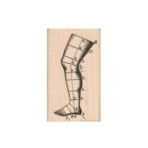 Numbered Leg Diagram RUBBER STAMP, Steampunk Stamp, Anatomy Stamp, Medical Stamp, Leg Stamp, Mixed Media Stamp, Severed Leg Stamp, Diagram