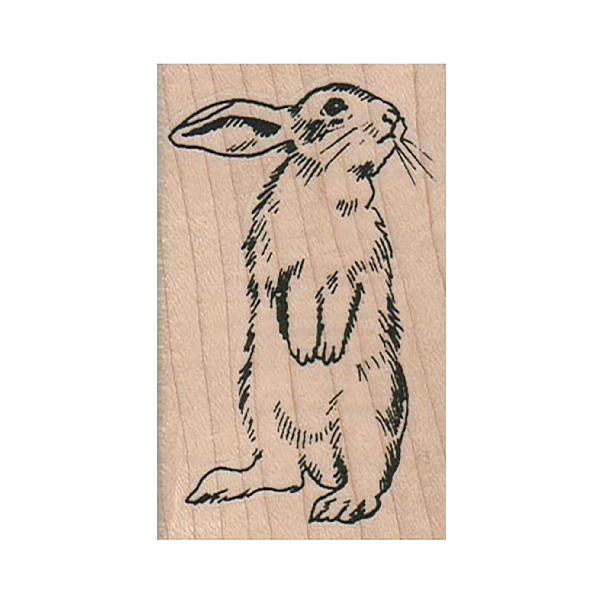 Bunny Looking Right RUBBER STAMP Bunny Stamp Rabbit Stamp Etsy Australia