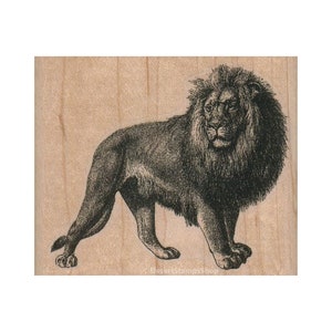 SELLO DE GOMA con vista lateral de león, sello de león, sello de rey de la jungla, sello de orgullo, sello de gran felino, sello de felino, sello de pantera, amantes de los leones