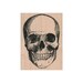 Skull RUBBER STAMP, Skull Stamp, Halloween Stamp, Bones Stamp, Skull Stamp, Halloween Skull Stamp, Scary Stamp, Skeleton Stamp, Halloween 