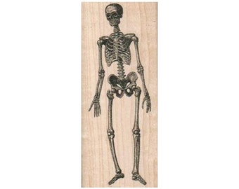 Timbre en caoutchouc squelette, timbre d'Halloween, timbre effrayant d'Halloween, timbre d'os, timbre de crâne, timbre d'anatomie, artisanat d'Halloween, timbre de squelette