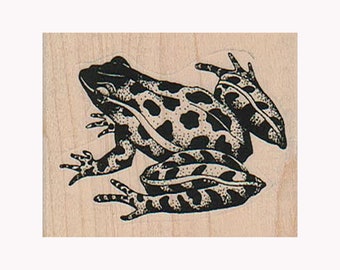 Leopard Frog RUBBER STAMP, Frog Stamp, Toadstool Stamp, Garden Stamp, Nature Stamp, Swamp Stamp, Tree Frog, Amphibian Stamp, Frog Lover