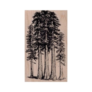 Redwood Trees RUBBER STAMP, Tree Stamp, Nature Stamp, Outdoor Stamp, Branch Stamp, Weathered Tree Stamp, Redwood Trees Stamp