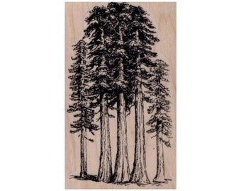 Sello de goma de secuoyas, sello de árbol, sello de naturaleza, sello de exterior, sello de rama, sello de árbol desgastado, sello de secuoyas