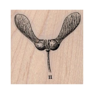 Carimbo de borracha para mudas, carimbo de semente, carimbo de árvore, carimbo de natureza, carimbo para áreas externas, carimbo de sementes de bordo, carimbo de cápsula de semente de helicóptero, carimbo de árvore de bordo
