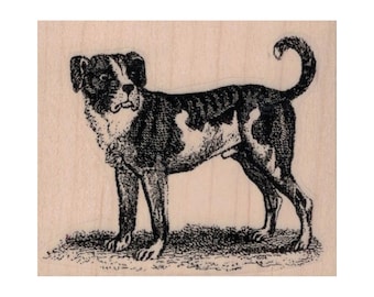 Dog Looking RUBBER STAMP, Dog Stamp, Concerned Dog Stamp, Dog Standing Stamp, Surprised Dog Stamp, Canine Stamp, Hunting Dog Stamp, Puppy