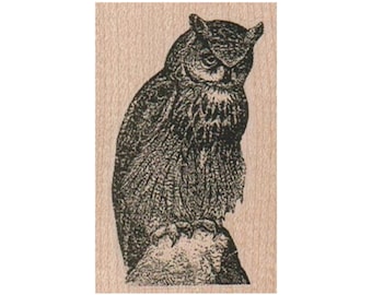 Horned Owl RUBBER STAMP, Nature Stamp, Bird Stamp, Outdoor Stamp, Aves Stamp, Owl Stamp, Owl Lover Gift, Great Horned Owl, Wisdom Stamp