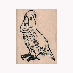 Talking Bird RUBBER STAMP, Bird Stamp, Bird Lover Stamp, Parrot Stamp, Cockatoo Stamp, Bird Stamps, Talking Bird Stamp, Pirate Bird Stamp