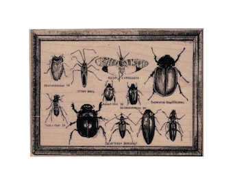 Bug Specimens RUBBER STAMP, Insect Stamp, Steampunk Bug Stamp, Entomology Stamp, Beetle Stamp, Specimen Stamp, Bug Stamp, Steampunk Stamp,