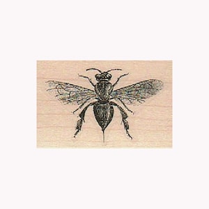 Stempel wesp, bijenstempel, stempel vliegende wesp, insectenstempel, stempel bijenkorf, stempel wespminnaar, stempel hommel, bovenaanzicht wesp, wesp