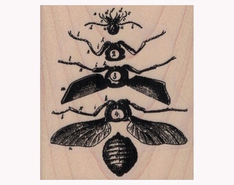 Flying Insect Specimen GUMMIstempel, Insekt Stempel, Specimen Stempel, Flying Insects Stempel, Wissenschaftsstempel, Entomologie Stempel, Steampunk Stempel