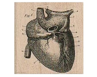 Heart Diagram RUBBER STAMP, Steampunk Stamp, Anatomy Stamp, Medical Stamp, Heart Stamp, Mixed Media Stamp, Surgery Stamp, Love Stamp, Hearts