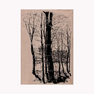 Winter Woods Scene RUBBER STAMP, Trees Stamp, Outdoors Stamp, Woods Stamp, Forrest Stamp, Background stamp, Woods Background, Nature, Trees