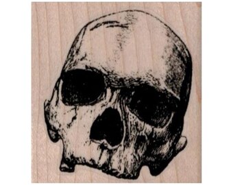 thumbnail image 2 of Skull With Top Hat By Qu3D 3D-Design Art 2 of 12