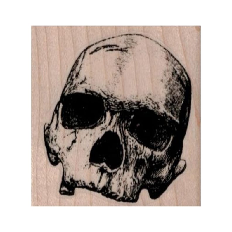 Realistic Skull RUBBER STAMP Skull Stamp Halloween Stamp - Etsy