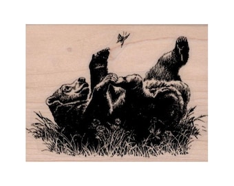 May include: A black and white illustration of a bear lying on its back in a grassy field, looking up at a butterfly.