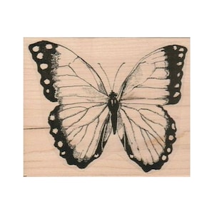 May include: A black and white illustration of a butterfly with detailed wings and a body.