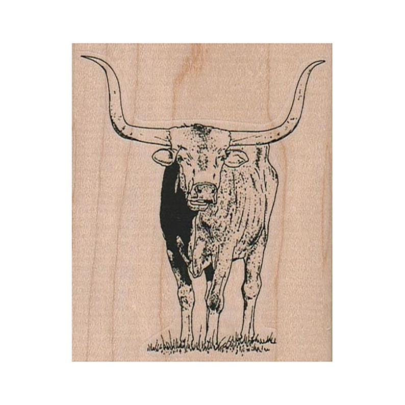 May include: A black and white line drawing of a longhorn steer with large horns, standing on a grassy field.