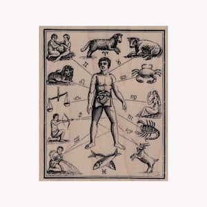 Timbre en caoutchouc de diagramme de zodiaque, timbre de diseuse de bonne aventure, timbre d'astrologie, timbre de symbole de zodiaque, timbre de signe de zodiaque, timbre d'horoscope, magie, avenir