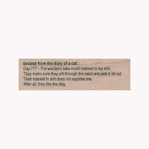 Cat Diary Entry Day 777 RUBBER STAMP, Funny Cat Stamp, Feline Stamp, Cat Stamp, Kitty Stamp, Cat Diary Stamp, Life Of A Cat Stamp, Funny