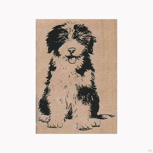 May include: Black and white illustration of a sitting puppy with a happy expression. The puppy has a fluffy coat and a long tail.