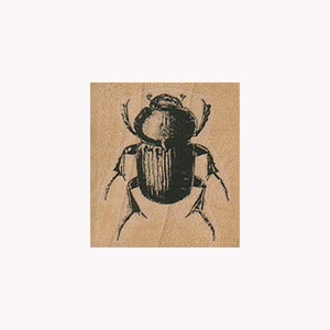 Beetle RUBBER STAMP, Insect Stamp, Bug Stamp, Entomology Stamp, Beetle Stamp, Beetle Bug Stamp, Beetle Stamp, Flying Insect Stamp, Bug Lover