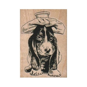 Zieke Basset Hound Dog RUBBERSTEMPEL, Sick Dog Stamp, Dog Stamp, Beterschapsstempel, Beterschapsstempel, Puppy Stamp, Basset Hound Stamp, Canine