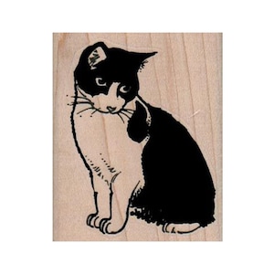 Cat Looking Down RUBBER STAMP, Kitty Stamp, Tuxedo Cat Stamp, Feline Stamp, Cat Lover Stamp, Cat Looking Stamp, Cat Stamp, Kitty Stamp, Cat