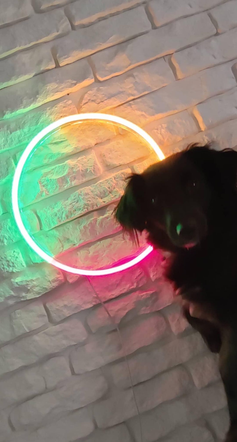 Jamaica ZEN Neon Sign Led Neon Ring Circle Cyberpunk Led Etsy