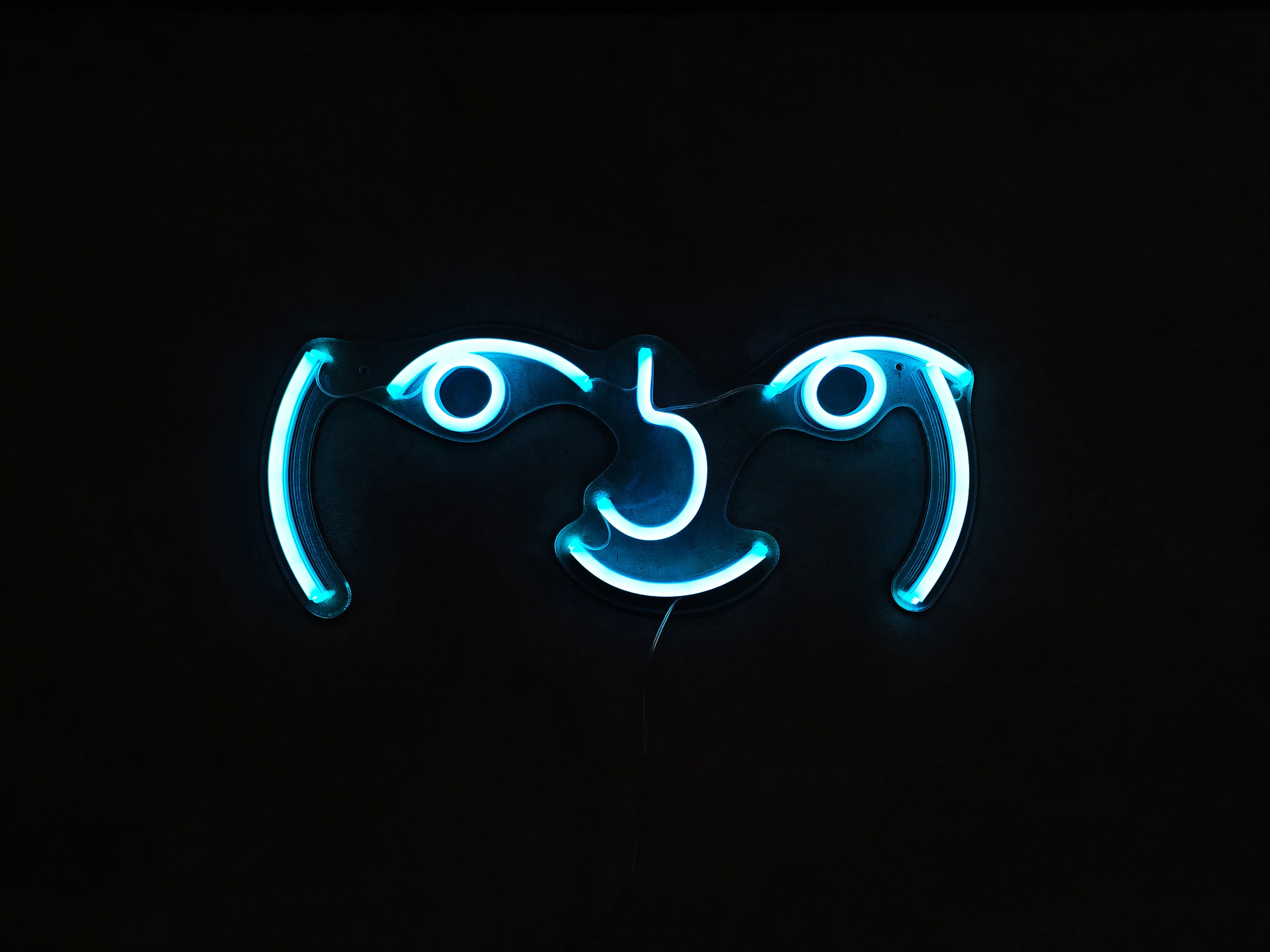 Lenny Face Led Neon Emoji Wall Decoration Light for Home Led Art Neon Sign Nerd Decor Gamers Room Light Etsy Canada