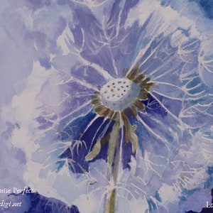 Dandelion Collection 1 - limited edition print