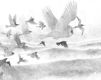 Illustration 'Follow the birds' | Norway | Scandinavian | Illustration | Art | Artprint | Birds | Pencil drawing | Black & white | Landscape