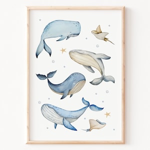 Poster Wale | Poster Meerestiere | Unterwassertiere |  Poster Ocean | Kinderzimmer | Kinderzimmerposter | Poster Tiere | Geschenk | Taufe