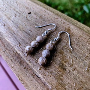 Boucles d&#39;oreilles pierre Petoskey