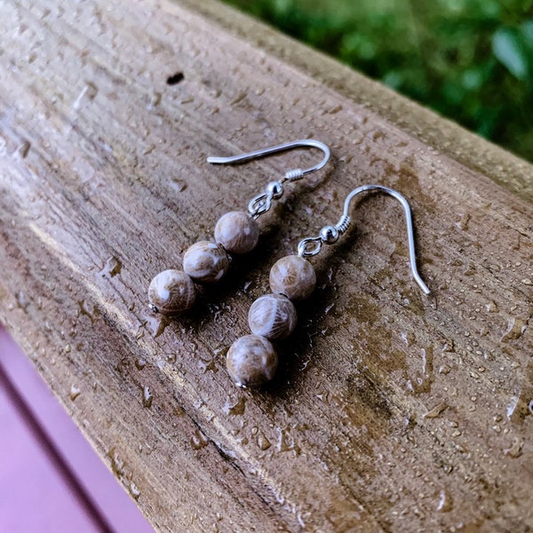 Petoskey Stone Earrings