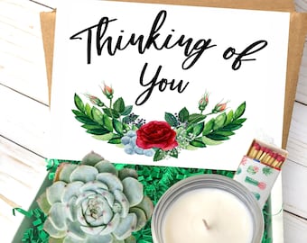 thinking of you gift, care package, cheer up gift, gift for her, thinking of you, sympathy gift, get well, succulent gift, encouragement