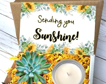 Sunshine Succulent Gift Box: Friendship Care Package