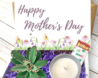Happy Mothers day gift Box, Live Succulent, First time Mother, Gift Idea, Gift for Mom, Send a Gift Idea Mothers Day Care Package Spa Gift