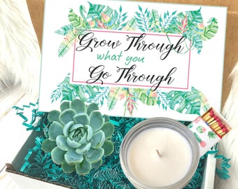 inspirational gift box, Succulent Care Package, Break Up Gift,motivational gift box, encouragement gift, best friend gift