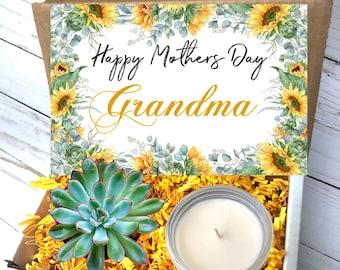 Gift for Grandma, Happy Mothers Day Grandma, Noni, Grandmother, from Daughter, Granddaughter gift for Grandma, Live Succulent Gift Box