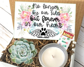 Pet Loss Succulent and Candle Gift box, Pet Sympathy Gift Box, Thinking of You, Grief Gift,Dog Sympathy Gift,Cat Sympathy Gift, Pet Memorial