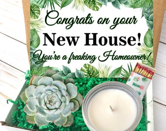 Housewarming Gift, New Home Gift, Congrats New Home, Send a Gift, Housewarming Plant, Succulent Gift Box