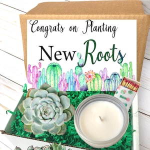 Congrats on Planting new Roots, Succulent Gift Box, Moving Gift, New Job Gift, Promotion Gift Box, New Home Gift, New Apartment Gift