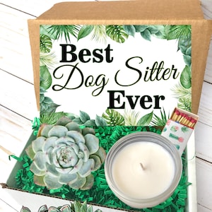 Dog Sitter Gift box, Pet Sitter Appreciation Gift, Present for Dog Sitter, Appreciation Gift for Dog Walker, thank you gift for dog walker