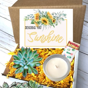 box of sunshine, thank you, thinking of you, encouragement gift, cheer up, get well, thinking of you, sending you sunshine, sending sunshine